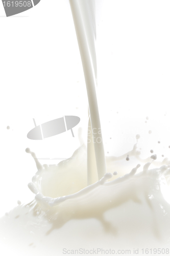 Image of milk splash