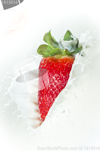 Image of strawberry splashing into milk