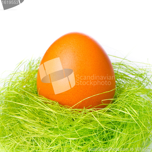 Image of easter egg in nest