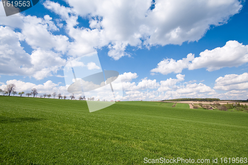 Image of green field