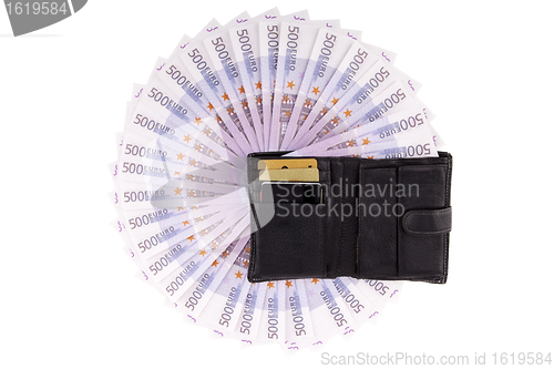 Image of Image purse with euros