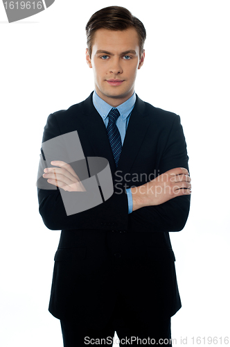 Image of Portrait of a professional business executive