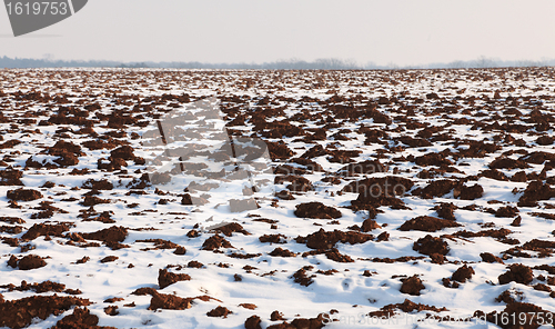 Image of Field in winter