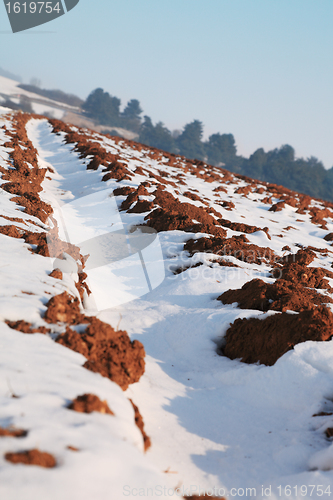 Image of Field in winter
