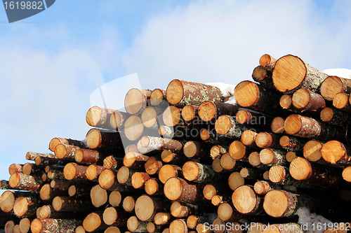 Image of Cut wood fuel with snow, blue sky and few clouds