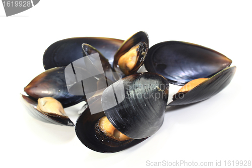 Image of Mussels