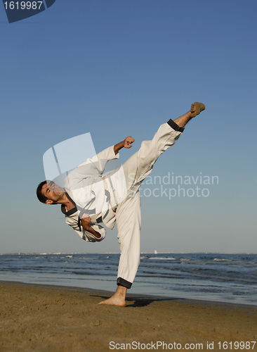 Image of karate on the beach