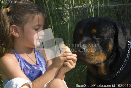 Image of little girl, chick and dog