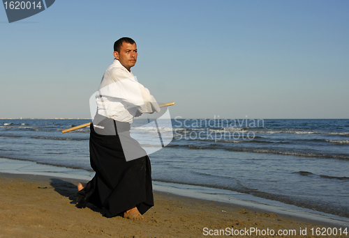 Image of aikido on the beach