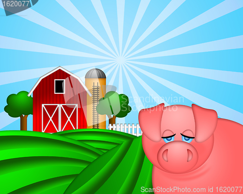 Image of Pig on Green Pasture with Red Barn with Grain Silo 