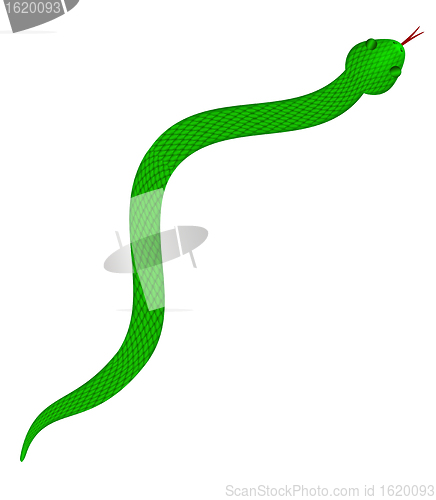 Image of Green Snake with Scales Illustration