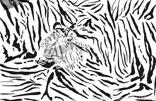 Image of Tiger pattern background