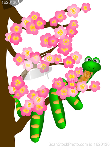 Image of Chinese New Year Snake on Cherry Blossom Tree