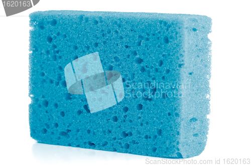 Image of Blue sponge