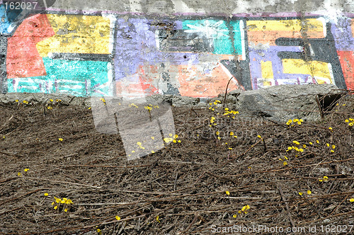 Image of grafitti