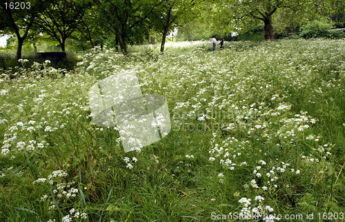 Image of Lovers in the Grass