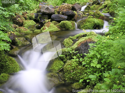 Image of  mountain stream 