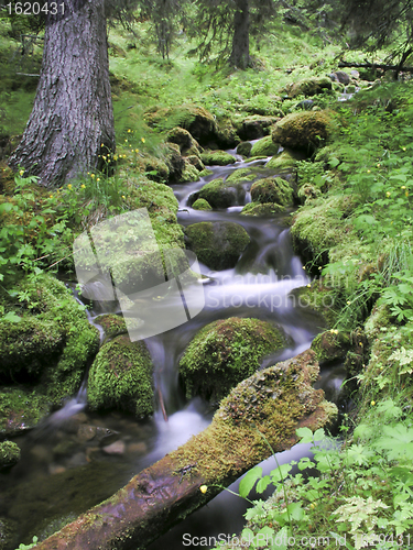 Image of  mountain stream 