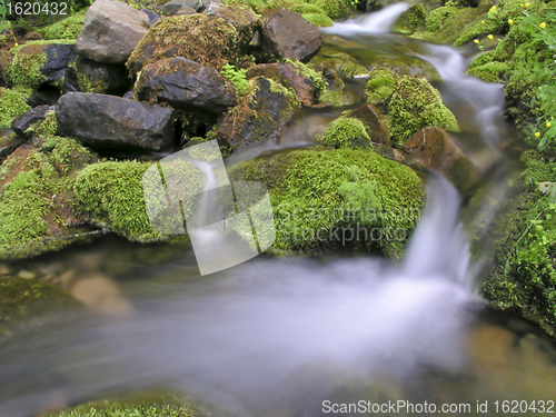 Image of  mountain stream 