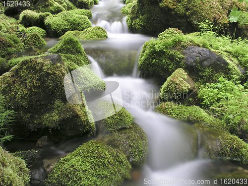 Image of  mountain stream 