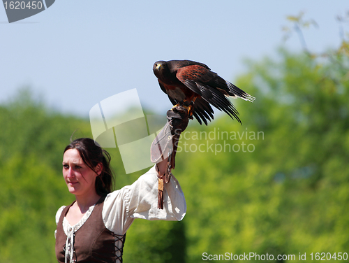 Image of Female bird tamer