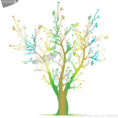 Image of Spring Tree