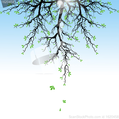 Image of Spring Tree