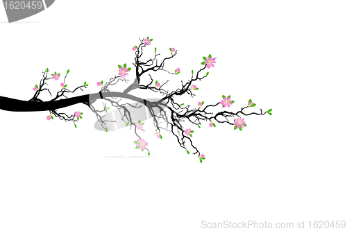 Image of Branch of Spring Tree