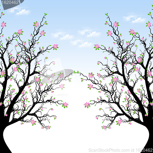 Image of Spring Blossom Tree