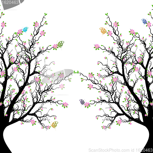 Image of Spring Blossom Tree