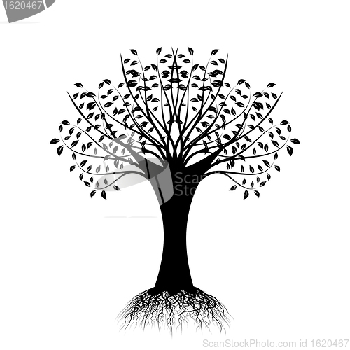 Image of Art Tree Silhouette