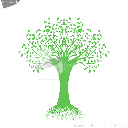 Image of Art Tree Silhouette