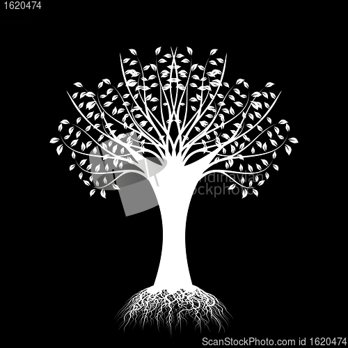 Image of Art Tree Silhouette