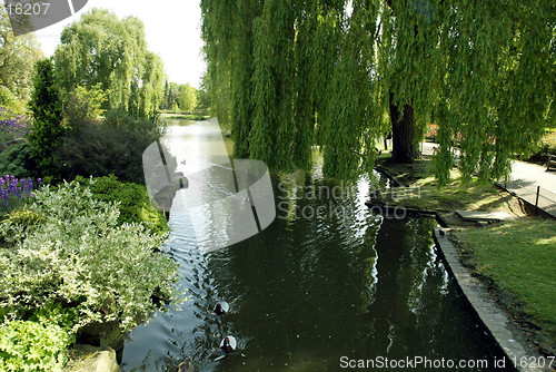 Image of Regent's Park lake