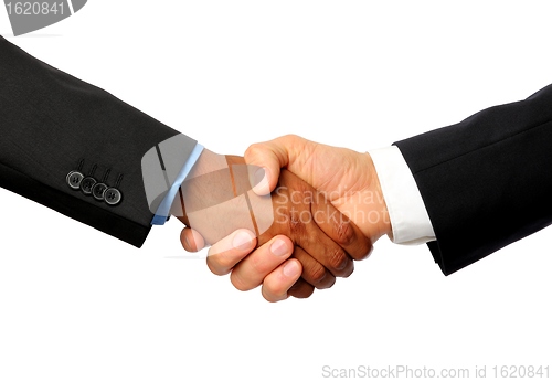 Image of International Handshake