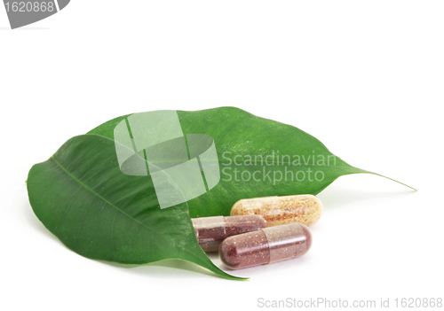 Image of Pills Capsules Bio and green leaf natural