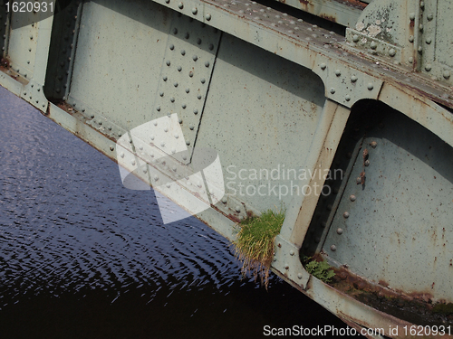 Image of Grass growing in a metallic bridge beam.