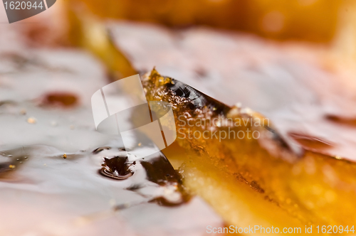 Image of French dessert - cream brulee, burnt cream 