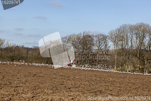 Image of Farmer plowing