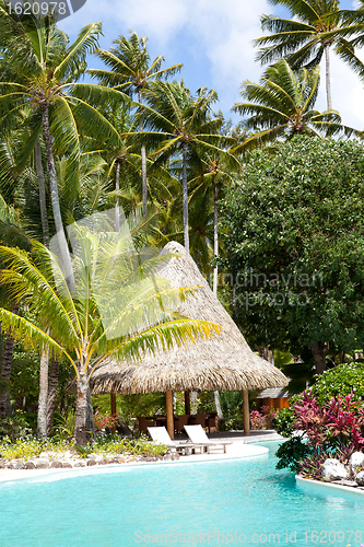 Image of deck chairs by the pool