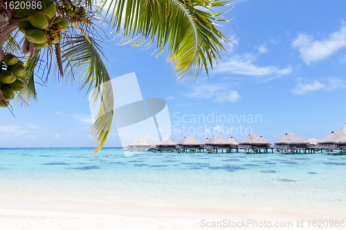 Image of overwater bungalows in the lagoon