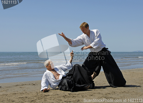 Image of aikido on the beach