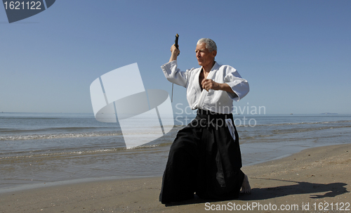 Image of training of Aikido