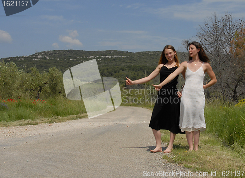 Image of Hitchhiking