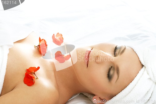Image of red petals spa #3