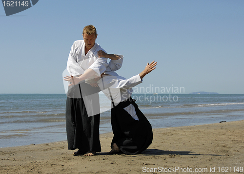 Image of aikido on the beach