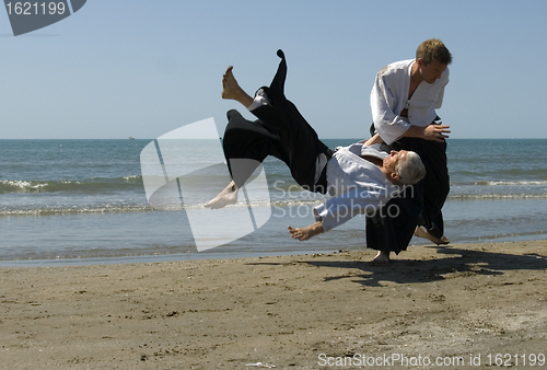 Image of aikido on the beach