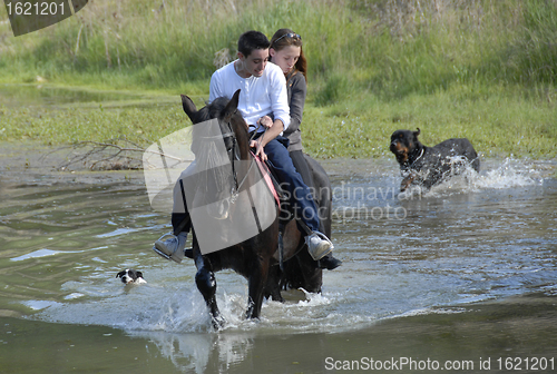 Image of riding couple in a river with dogs