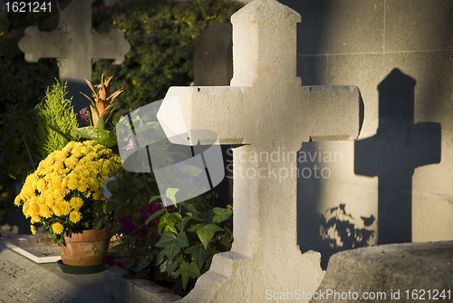 Image of Grave with shadow cross at cemetery