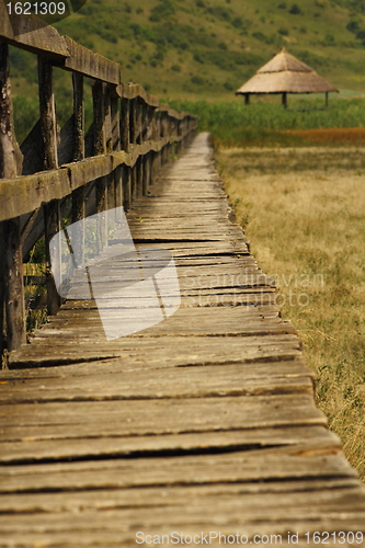 Image of bridge towards the swamp